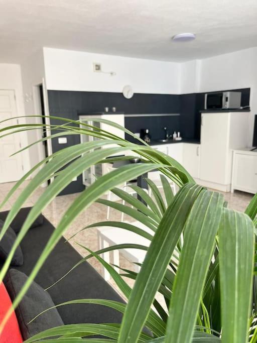 Heyhome Lynn 306 Los Cristianos  Kültér fotó